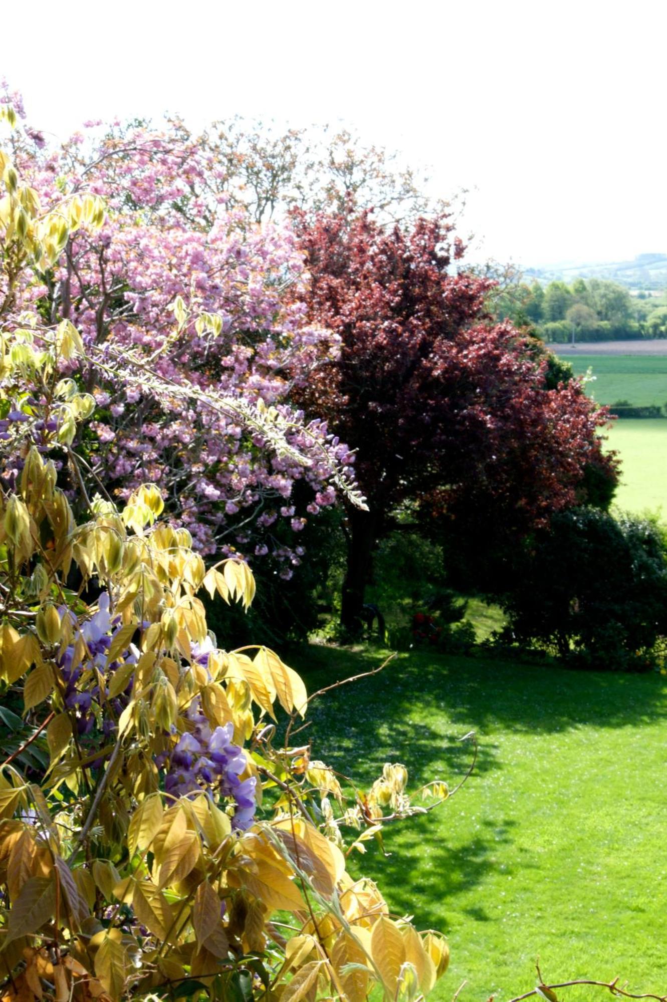 Charming Georgian Country House Axbridge Екстериор снимка